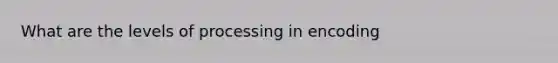 What are the levels of processing in encoding