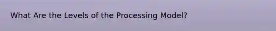 What Are the Levels of the Processing Model?