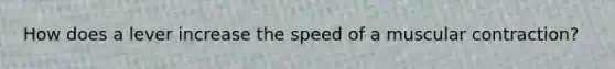 How does a lever increase the speed of a muscular contraction?