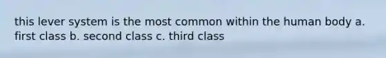 this lever system is the most common within the human body a. first class b. second class c. third class