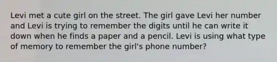 Levi met a cute girl on the street. The girl gave Levi her number and Levi is trying to remember the digits until he can write it down when he finds a paper and a pencil. Levi is using what type of memory to remember the girl's phone number?