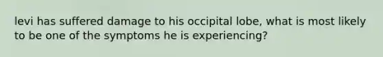 levi has suffered damage to his occipital lobe, what is most likely to be one of the symptoms he is experiencing?