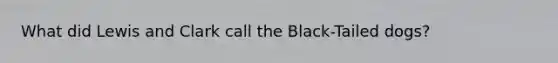 What did Lewis and Clark call the Black-Tailed dogs?