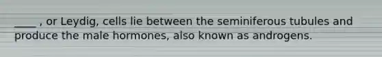 ____ , or Leydig, cells lie between the seminiferous tubules and produce the male hormones, also known as androgens.