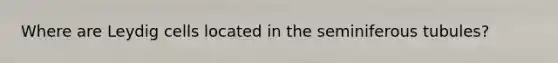 Where are Leydig cells located in the seminiferous tubules?