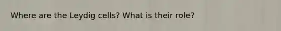 Where are the Leydig cells? What is their role?