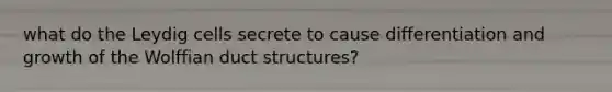 what do the Leydig cells secrete to cause differentiation and growth of the Wolffian duct structures?