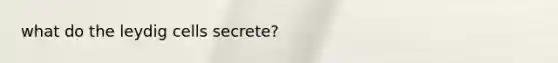 what do the leydig cells secrete?