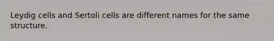 Leydig cells and Sertoli cells are different names for the same structure.