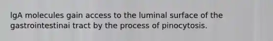 lgA molecules gain access to the luminal surface of the gastrointestinai tract by the process of pinocytosis.