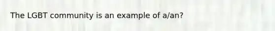 The LGBT community is an example of a/an?