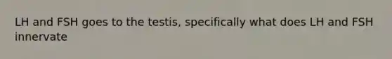 LH and FSH goes to the testis, specifically what does LH and FSH innervate