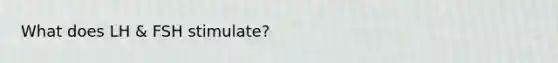 What does LH & FSH stimulate?