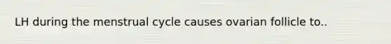 LH during the menstrual cycle causes ovarian follicle to..