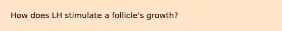 How does LH stimulate a follicle's growth?