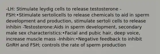 -LH: Stimulate leydig cells to release testosterone -FSH:•Stimulate sertolicells to release chemicals to aid in sperm development and production, stimulate sertoli cells to release inhibin -Testosterone:Aids in sperm development, secondary male sex characteristics:•Facial and pubic hair, deep voice, increase muscle mass -Inhibin:•Negative feedback to inhibit GnRH and FSH; controls the rate of sperm production