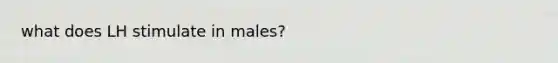 what does LH stimulate in males?
