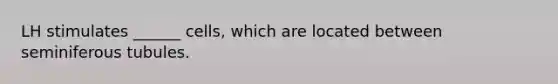 LH stimulates ______ cells, which are located between seminiferous tubules.