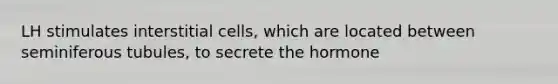 LH stimulates interstitial cells, which are located between seminiferous tubules, to secrete the hormone