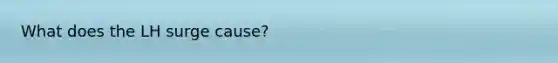 What does the LH surge cause?