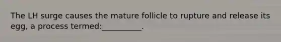 The LH surge causes the mature follicle to rupture and release its egg, a process termed:__________.