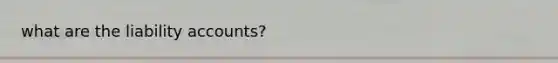 what are the liability accounts?