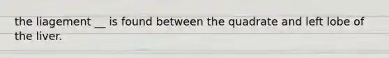 the liagement __ is found between the quadrate and left lobe of the liver.