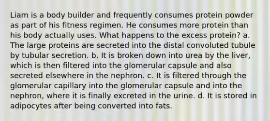 Liam is a body builder and frequently consumes protein powder as part of his fitness regimen. He consumes more protein than his body actually uses. What happens to the excess protein? a. The large proteins are secreted into the distal convoluted tubule by tubular secretion. b. It is broken down into urea by the liver, which is then filtered into the glomerular capsule and also secreted elsewhere in the nephron. c. It is filtered through the glomerular capillary into the glomerular capsule and into the nephron, where it is finally excreted in the urine. d. It is stored in adipocytes after being converted into fats.