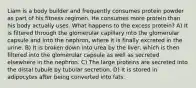 Liam is a body builder and frequently consumes protein powder as part of his fitness regimen. He consumes more protein than his body actually uses. What happens to the excess protein? A) It is filtered through the glomerular capillary into the glomerular capsule and into the nephron, where it is finally excreted in the urine. B) It is broken down into urea by the liver, which is then filtered into the glomerular capsule as well as secreted elsewhere in the nephron. C) The large proteins are secreted into the distal tubule by tubular secretion. D) It is stored in adipocytes after being converted into fats.