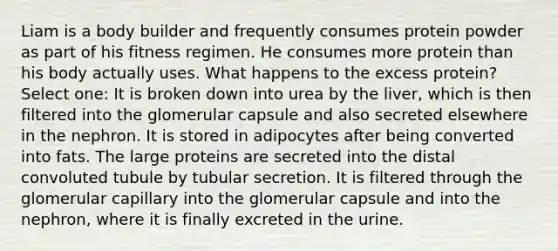 Liam is a body builder and frequently consumes protein powder as part of his fitness regimen. He consumes more protein than his body actually uses. What happens to the excess protein? Select one: It is broken down into urea by the liver, which is then filtered into the glomerular capsule and also secreted elsewhere in the nephron. It is stored in adipocytes after being converted into fats. The large proteins are secreted into the distal convoluted tubule by tubular secretion. It is filtered through the glomerular capillary into the glomerular capsule and into the nephron, where it is finally excreted in the urine.