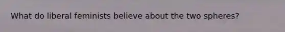 What do liberal feminists believe about the two spheres?