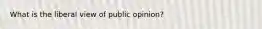 What is the liberal view of public opinion?