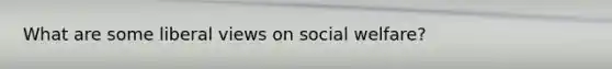 What are some liberal views on social welfare?