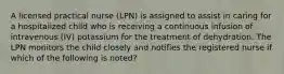 A licensed practical nurse (LPN) is assigned to assist in caring for a hospitalized child who is receiving a continuous infusion of intravenous (IV) potassium for the treatment of dehydration. The LPN monitors the child closely and notifies the registered nurse if which of the following is noted?