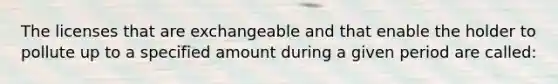 The licenses that are exchangeable and that enable the holder to pollute up to a specified amount during a given period are called: