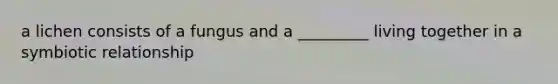 a lichen consists of a fungus and a _________ living together in a symbiotic relationship