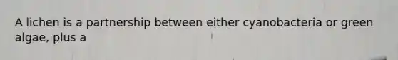 A lichen is a partnership between either cyanobacteria or green algae, plus a