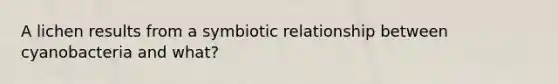 A lichen results from a symbiotic relationship between cyanobacteria and what?