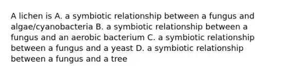 A lichen is A. a symbiotic relationship between a fungus and algae/cyanobacteria B. a symbiotic relationship between a fungus and an aerobic bacterium C. a symbiotic relationship between a fungus and a yeast D. a symbiotic relationship between a fungus and a tree