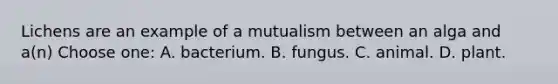 Lichens are an example of a mutualism between an alga and a(n) Choose one: A. bacterium. B. fungus. C. animal. D. plant.