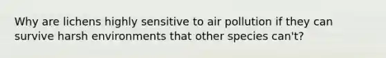 Why are lichens highly sensitive to air pollution if they can survive harsh environments that other species can't?