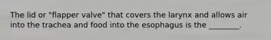 The lid or​ "flapper valve" that covers the larynx and allows air into the trachea and food into the esophagus is the​ ________.