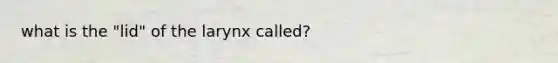 what is the "lid" of the larynx called?