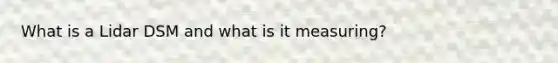 What is a Lidar DSM and what is it measuring?