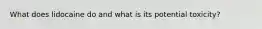What does lidocaine do and what is its potential toxicity?