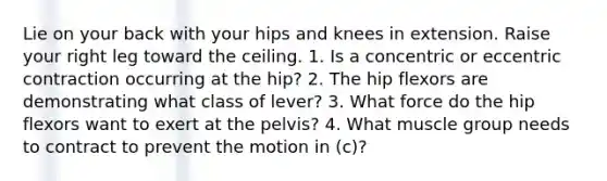 Lie on your back with your hips and knees in extension. Raise your right leg toward the ceiling. 1. Is a concentric or eccentric contraction occurring at the hip? 2. The hip flexors are demonstrating what class of lever? 3. What force do the hip flexors want to exert at the pelvis? 4. What muscle group needs to contract to prevent the motion in (c)?