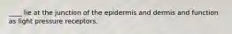 ____ lie at the junction of the epidermis and dermis and function as light pressure receptors.