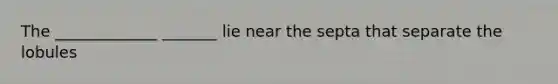 The _____________ _______ lie near the septa that separate the lobules