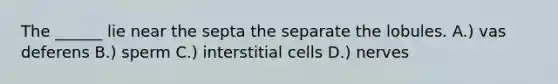 The ______ lie near the septa the separate the lobules. A.) vas deferens B.) sperm C.) interstitial cells D.) nerves