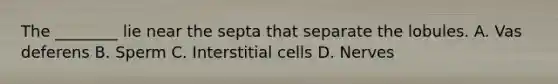 The ________ lie near the septa that separate the lobules. A. Vas deferens B. Sperm C. Interstitial cells D. Nerves